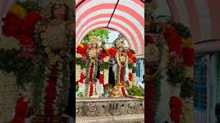 Srivilliputtur Sri Andal Rangamannar Vaikasi Vanthorchavam