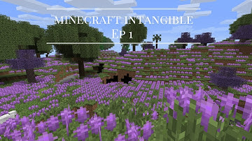Minecraft intangible Ep 1