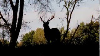 Hunting project promotion