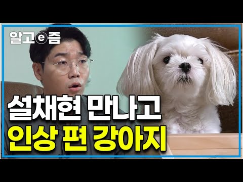 &amp;quot;정말 최고로 싫다는 표현을 하고 있었네요&amp;quot; 엄마가 손대면 엄청나게 싫어하며 으르렁거리던 개가 설채현 <strong>수의사를</strong> 만나고 완전히 변했다?