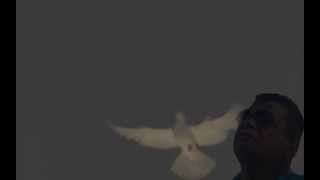 Wim Schurer zingt: 'Mijn gebroken hart zegt jou nu vaarwel'