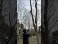 High reach, 2in1 Designed, One for Hand pruner, another for Pole pruner.#tools #treework #chainsaw