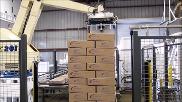 Robotic Palletizing   Cases & Bags   Video