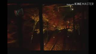 MOMIJI DI JEPANG_VERSI TIBO MBURI GUYON WATON