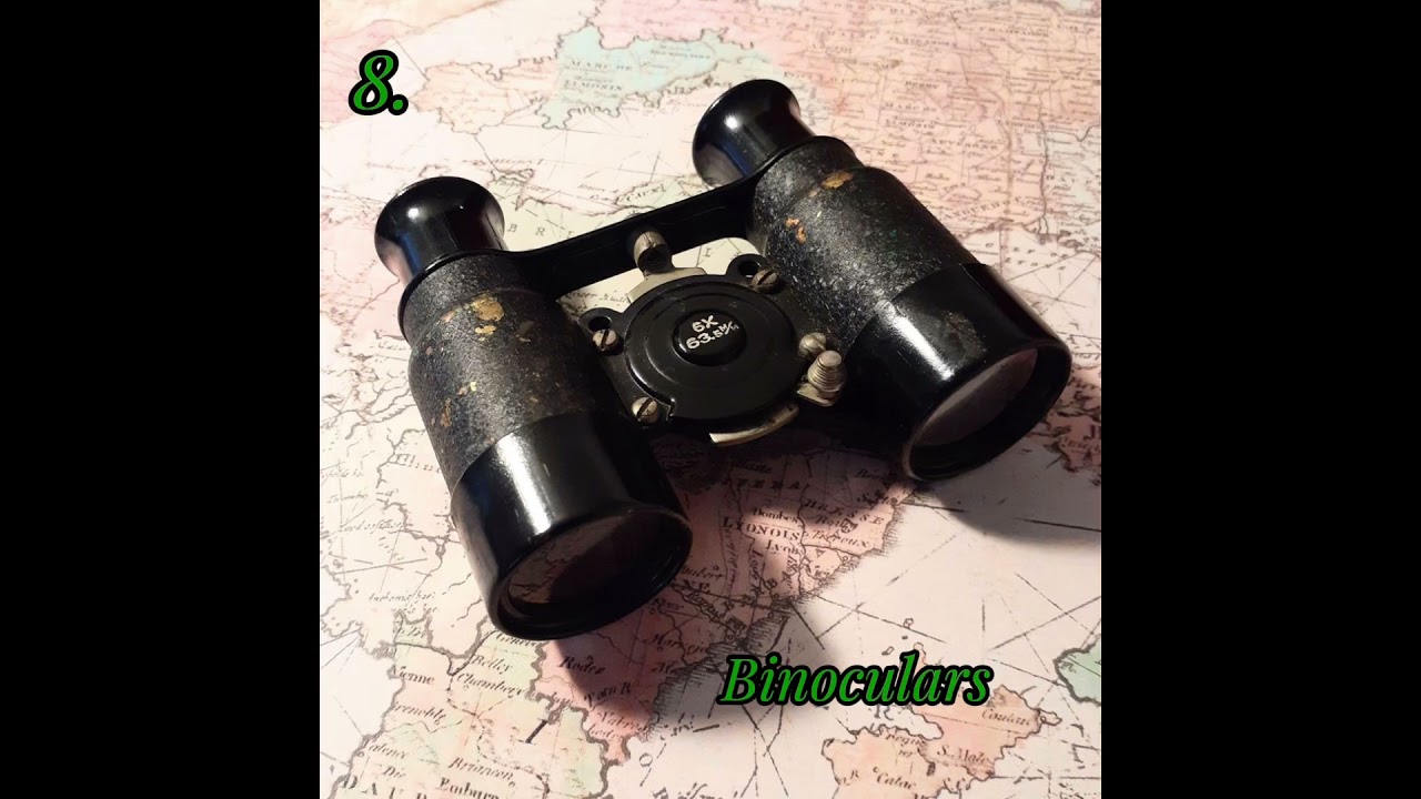 Gift guide for bird lovers! 🦉🦆✨