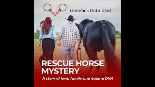 Rescue Horse Mystery: A story of love, family and equine DNA