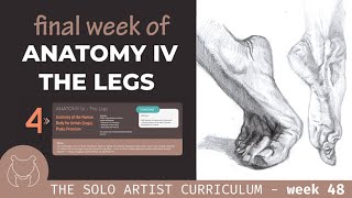 Finishing Anatomy IV - Studying the lower leg and feet with the Solo Artist Curriculum