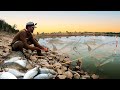      amazing fishing and cooking best jungal recipie