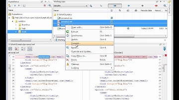 Syncro SVN Client (included in Oxygen XML Editor 13.2)