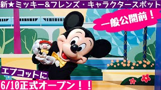 最新】ミッキー＆フレンズ・キャラクター・スポット❣ ディズニー