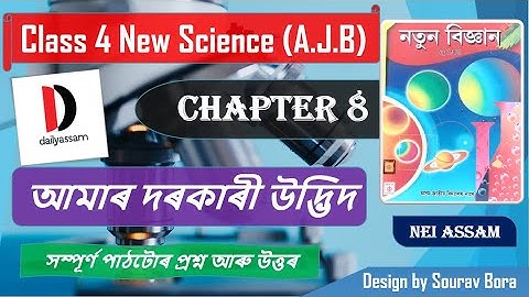 আমাৰ দৰকাৰী উদ্ভিদ । Chapter 8 | Class 4 New Science Question and Answer | A.J.B |
