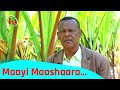 Maayi Maashaaro Geeshi Dubbiyooch Kafi Televizhiino ካፋ ቴሌቪዥን Kaffa Television Maayi Maashaaro Geeshi Dubbiyooch Kafi Televizhiino ካፋ ቴሌቪዥን Kaffa Television