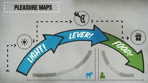 Future Rewards: How Your Brain Gets Motivated