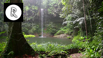 10 Hrs Rainforest & Rain for Relaxing, Nature Sounds for Sleep, Meditation, Insomnia, SPA, Study