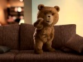 TED air humping