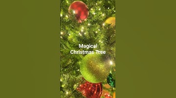 The Secret Life of the Magical Christmas Tree