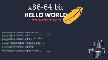 Writing Hello World in x86-64 Assembly - Beginner Friendly!