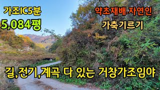 (No. 577) Geochang Woodland / 5,000 Pyeong of land with a stream, electricity, and road access, i...