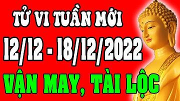 Tử vi 12 con giáp Tuần mới 12/12 - 18/12/2022 - Vận Mệnh, Tài Lộc, Công Việc, Tình Duyên, Sức Khỏe