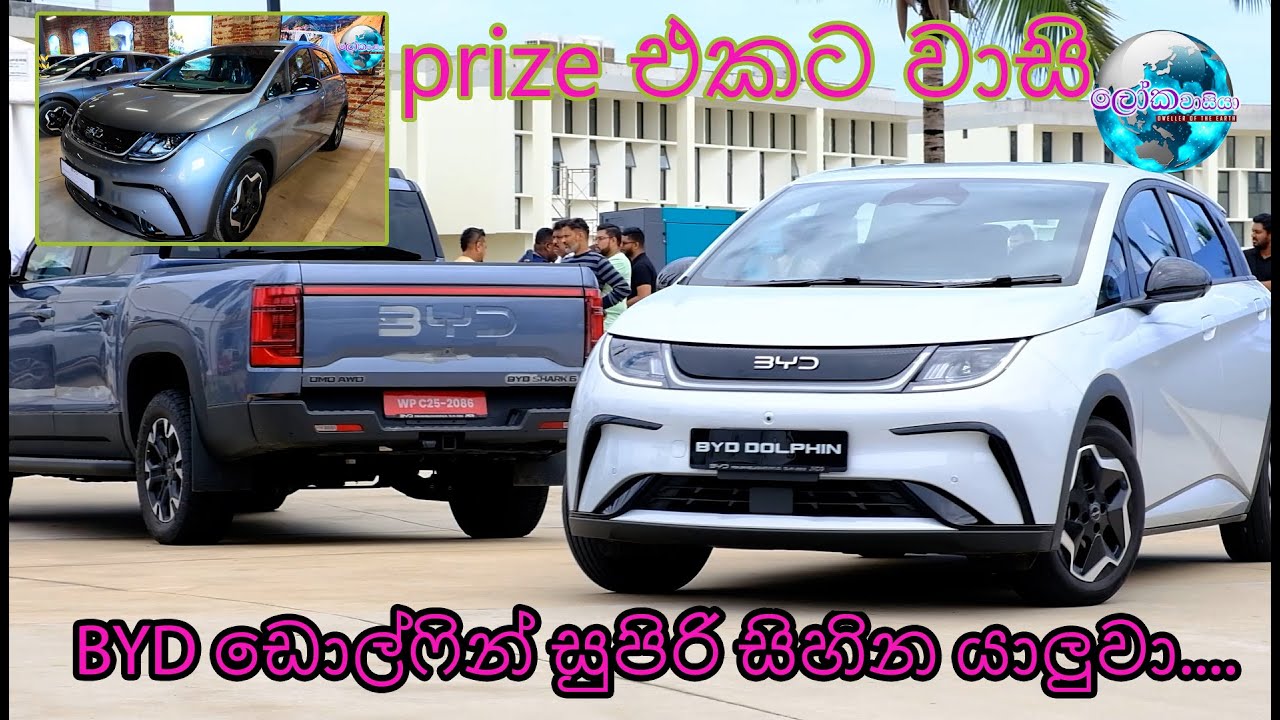 prize එකට වාසි BYD DOLPHIN