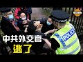 英國下最後通牒 中共慫了 忙撤回6名打人戰狼外交官【每日頭條】