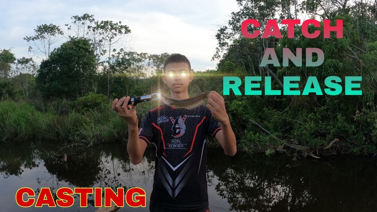CASTING HARUAN KECIL DI KEBUN SAWIT😱😱😱 (CATCH AND RELEASE)