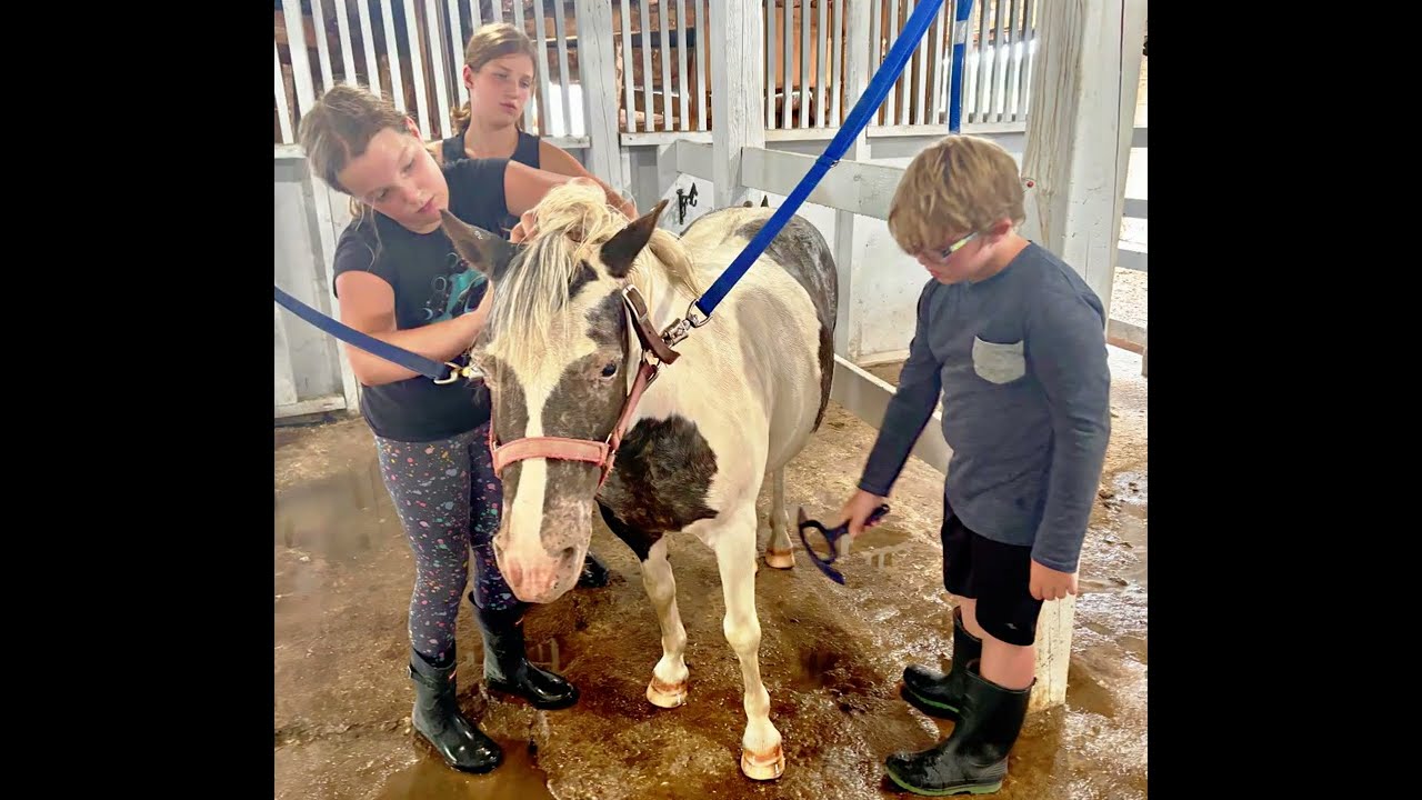 Thank you to all the Swiftwind members and clients!