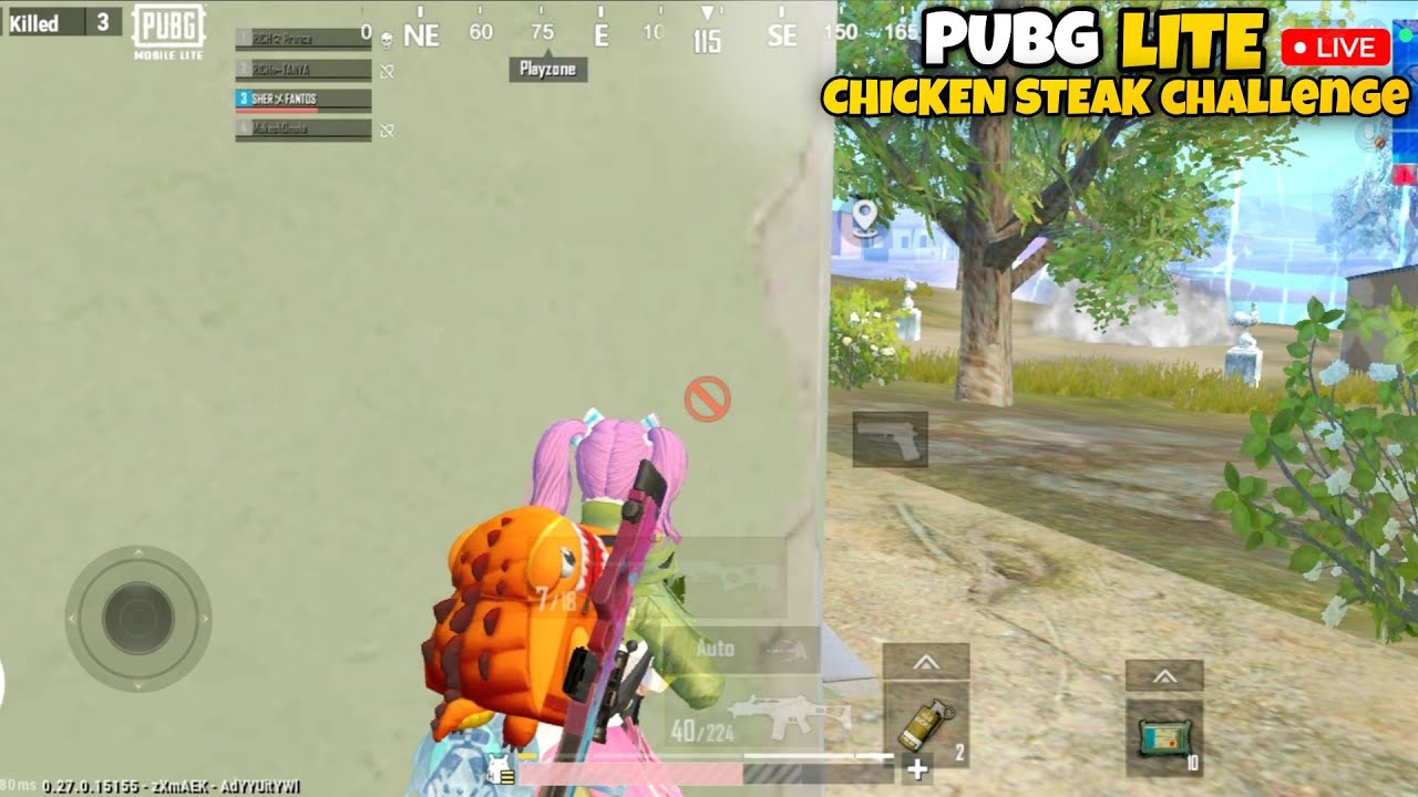 PUBG LITE LIVE | CHICKEN STREAK CHALLENGE 😳 SOLO VS SQUAD GAMEPLAY ...