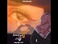 ابو ريان الحجايا