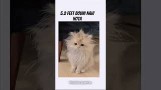 #boni kisko bula abb#😖😂😂😂😂😂#shorts