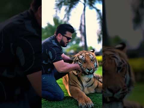 Big Tiger Wants to Bites On My Hand 😱  | Nouman Hassan
