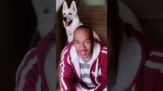 Unconditional love and companionship from dogs.