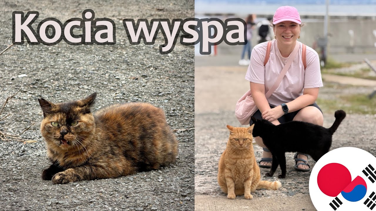 Ainoshima - japońska wyspa pełna kotów | Japonia i Korea | vlog 10