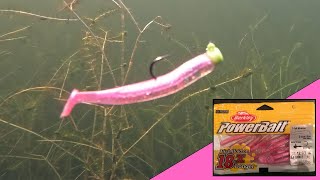 Berkley Powerbait 2 1/2 inch T-Tail Minnow | Underwater Lure Action For Fishing