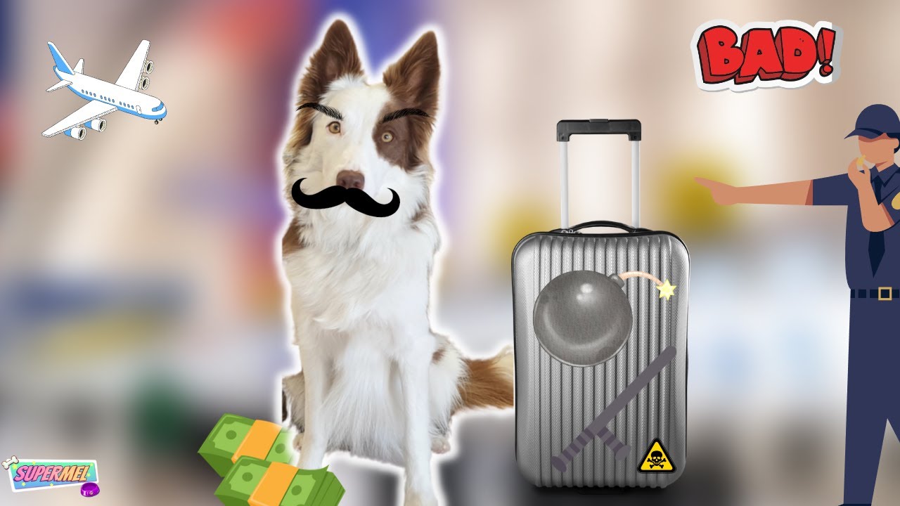 Simulador de Hombre MALO que quiere Volar en Avión