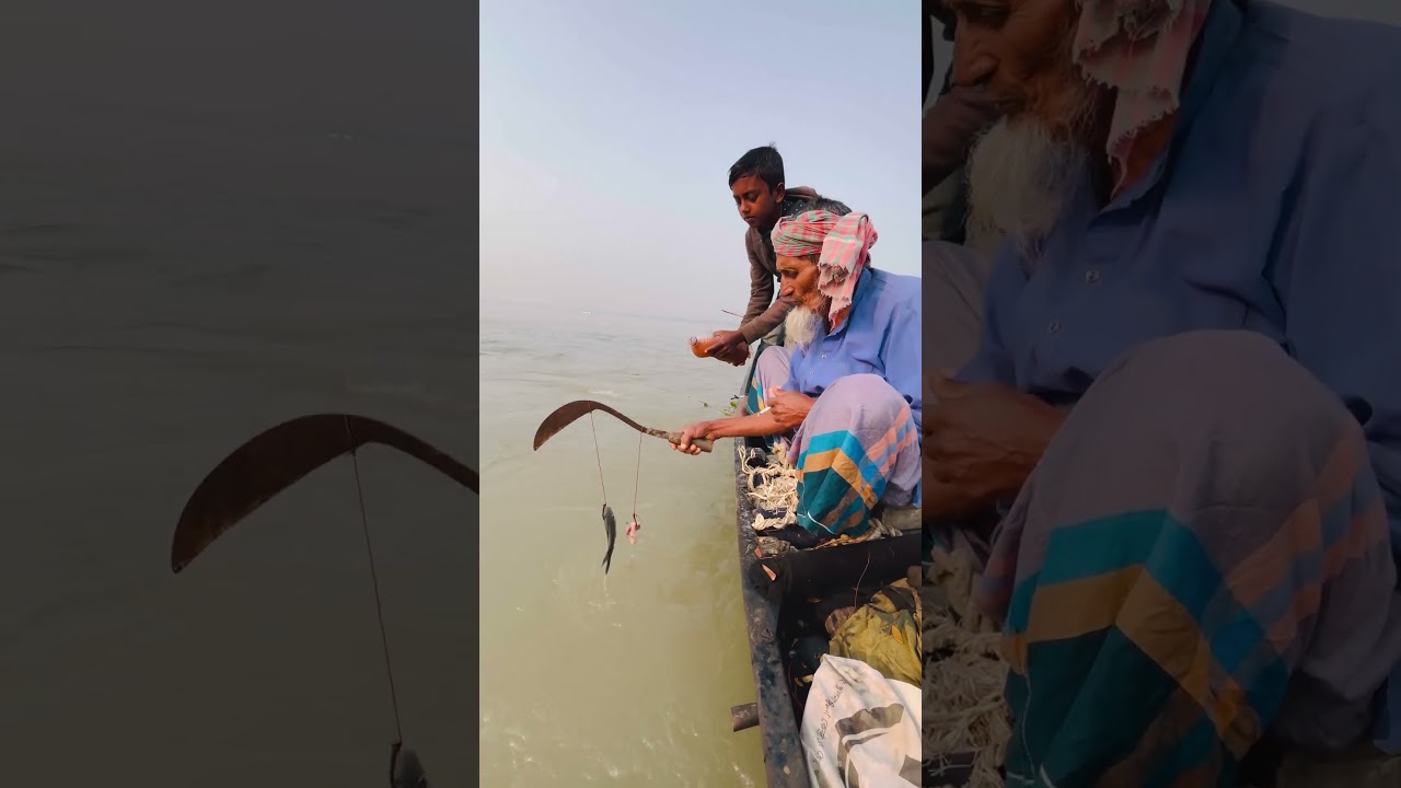 Amazing cast fishing in the sundarbons river 