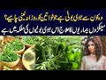 Best herbs for females and how to use it  dr sahar chawla