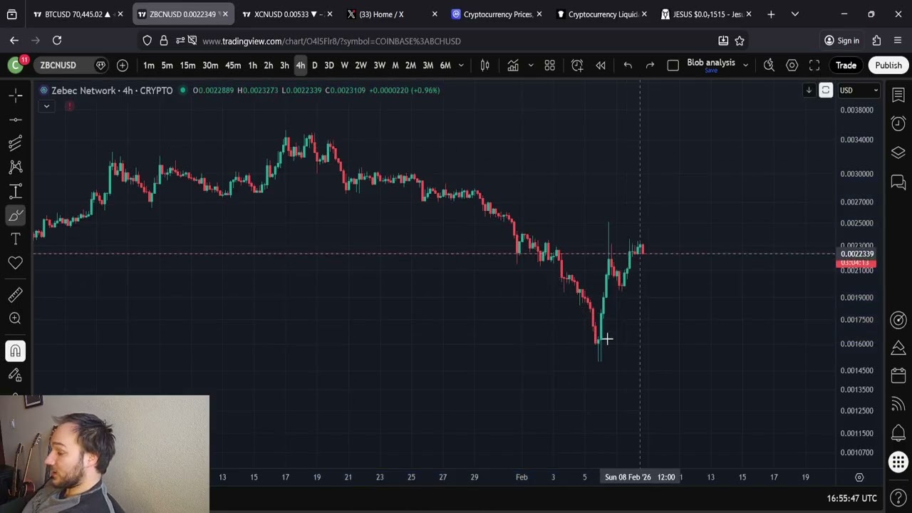 Прогноз цен на акции ZBCN Zebec: 8 февраля