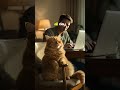 What If Cats Could Talk…