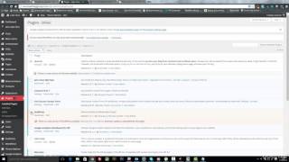 Updating WordPress core, themes and plugins