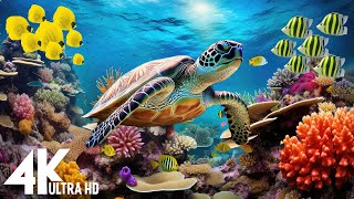 Under Red Sea 4K - Beautiful Coral Reef Fish in Aquarium, Sea Animals for Relaxation - 4K Video #26 by Dream Soul 2,801 views 12 days ago 3 hours, 58 minutes