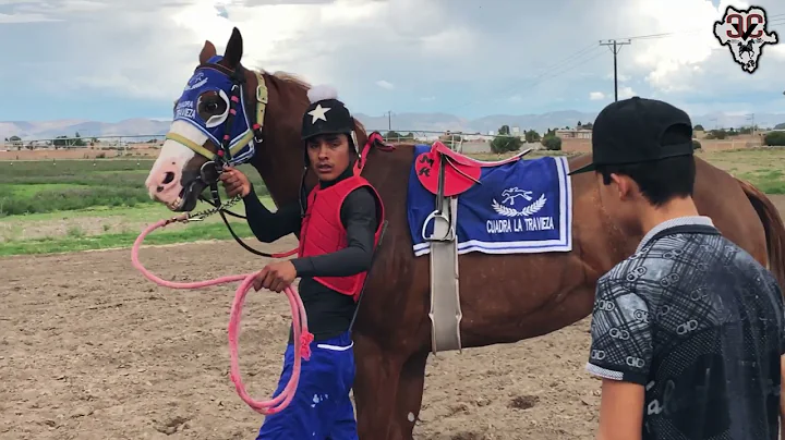La Jenny Vs El Moro Prieto | Tapias Race Trak, Dur...