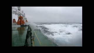 storm mv densa seal at north west pacific 30 nm sw off komandorskiye island 2012