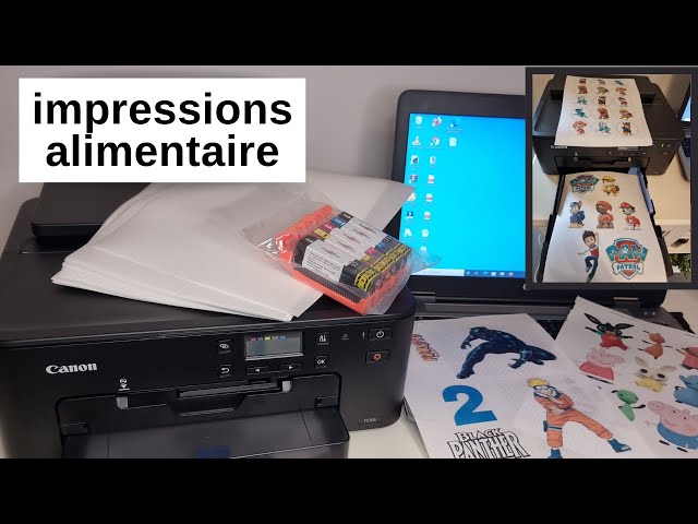 Comment utiliser une imprimante alimentaire? - YouTube