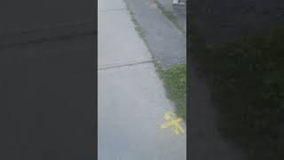 Walking away after being harassed  at 739 Glencarin.,Toronto,  Canada