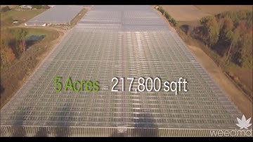 EnviroNize Anolyte - Cannabis Facility Disinfection and Sanitization   You Tube