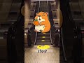 エスカレーターにパックマンを描いた男 🎮🕹️