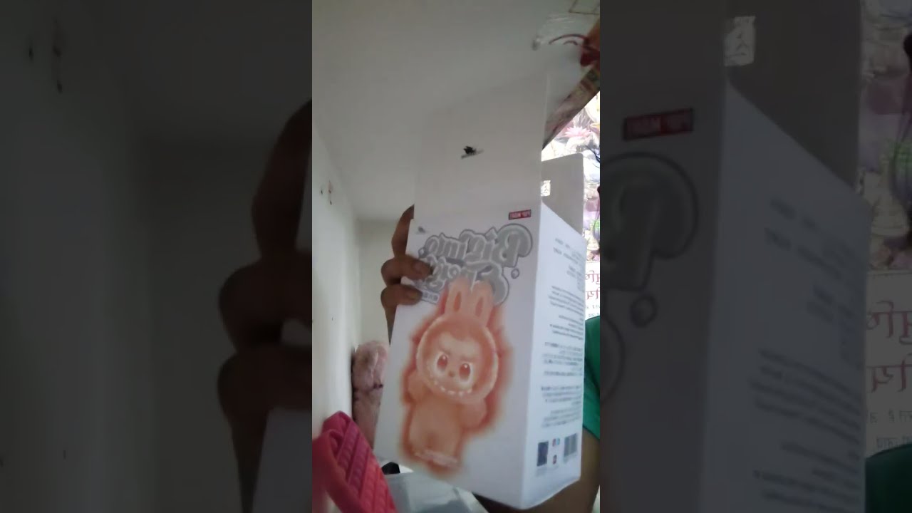 Let S Unbox Labubu