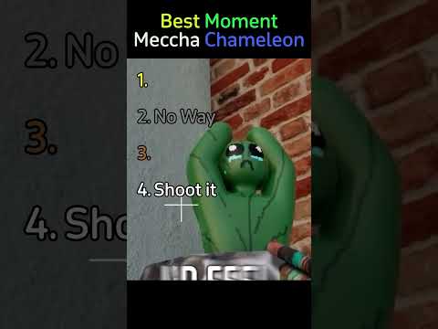 Ranking Best Meccha Chameleon Moment  #funnymoments #mecchachameleon