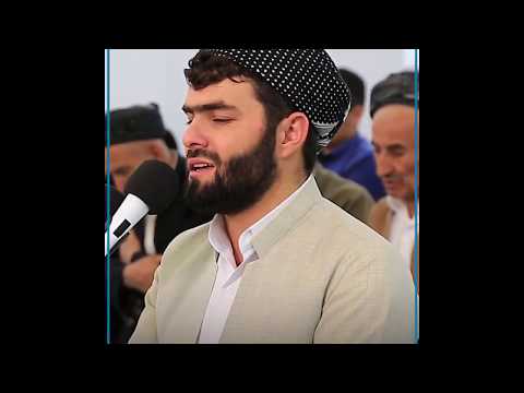 Peshawa Qadr Al-Kurdi | Rahman Suresi | سورة الرحمن | Tilavet Dünyası